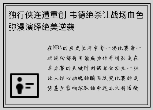 独行侠连遭重创 韦德绝杀让战场血色弥漫演绎绝美逆袭